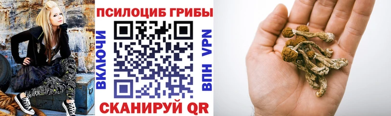 Псилоцибиновые грибы ЛСД  Сибай 
